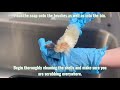 RM Cleaning Mussel Shells Video 1 Sort and Wash 2026