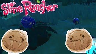 Slime Rancher - Exploring The Wilds and Saber Slimes- Ep 14