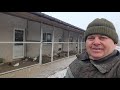 Голуби мой питомник 15.02.2021г. г. Овидиополь Одесской обл.  + 38 067 78 60 684 Виталий.