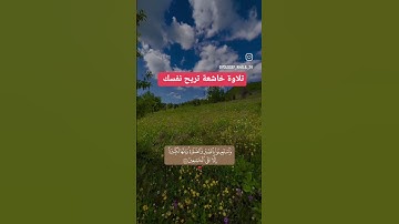 ارح سمعك.. تلاوة هادئة تريح القلب والعقل💙🎧 |