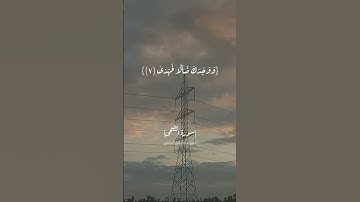 سورة الضحى الآية ٦و٧و٨ بصوت الشيخ المنشاوي رحمه الله #القران