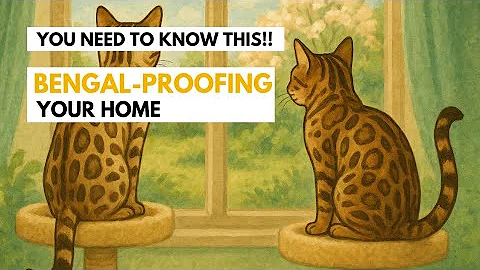 Watch the video about You Need to Know This!! Before Bringing home your Bengal Kitten. #kitten #bengal