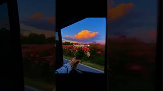 Chehra Ek Phool Ki 👀✨🥀 Afreen Afreen