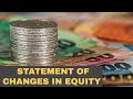 Statement of Changes in Equity Tutorial!