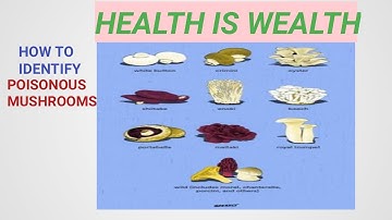 How to Identify Poisonous Mushroom?#Refresh#channel