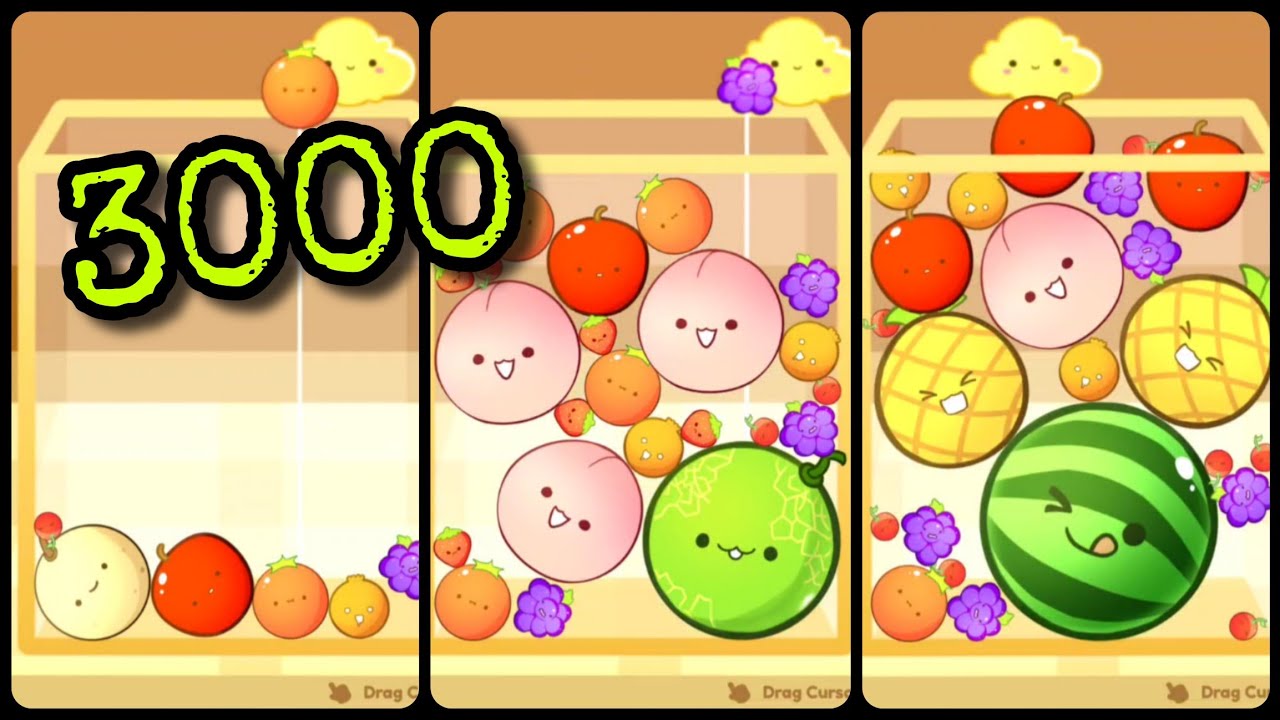 Watermelon Go Code My First