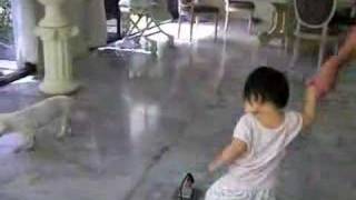 Chubby Baby Tries To Walk