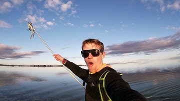 24 HOUR SOLO SURVIVAL CHALLENGE - NO FOOD AND ONLY A HAND SPEAR - Living From The Ocean