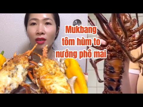 JAPAN. Mukbang tôm hùm nướng phô mai tuyệt vời 