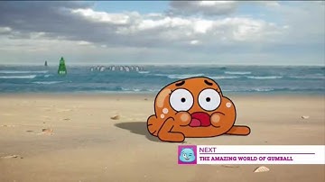 CN 4.0 | NEXT/BEGINS LATER | Gumball + Adventure Time 4-Night Special Event