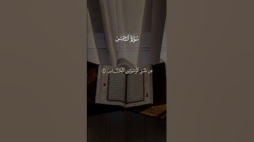 #القرآن_الكريم #سعد_الغامدي #قرآن #سورة_الناس