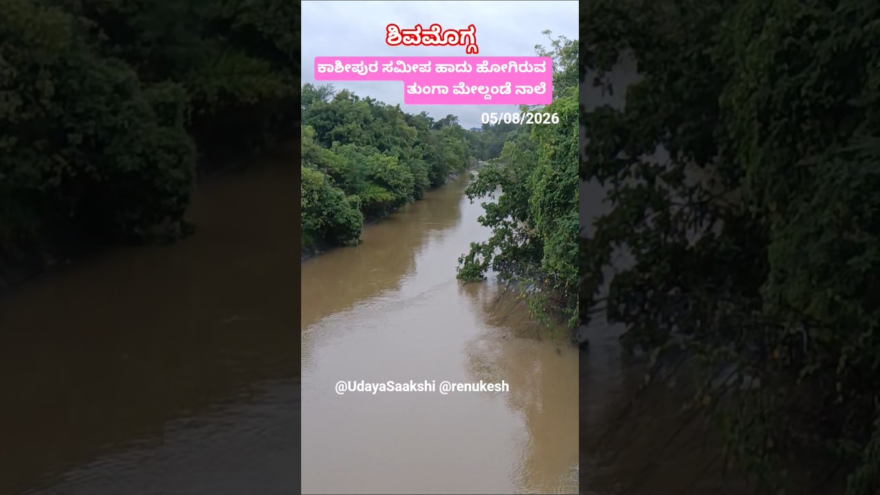 ಶಿವಮೊಗ್ಗ ಹೊರವಲಯ ಕಾಶೀಪುರ ಸಮೀಪ ಹಾದು ಹೋಗಿರುವ ತುಂಗಾ ನಾಲೆಯ 05/08/2026 ರ ನೀರಿನ ಹರಿವಿನ ನೋಟ.. #shimoga #rain
