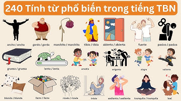240 Tính từ phổ biến trong tiếng Tây Ban Nha | Tiếng Tây Ban Nha cho người mới bắt đầu