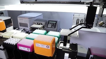 Automated ELISA: Biomek i-Series Integrated Solutions