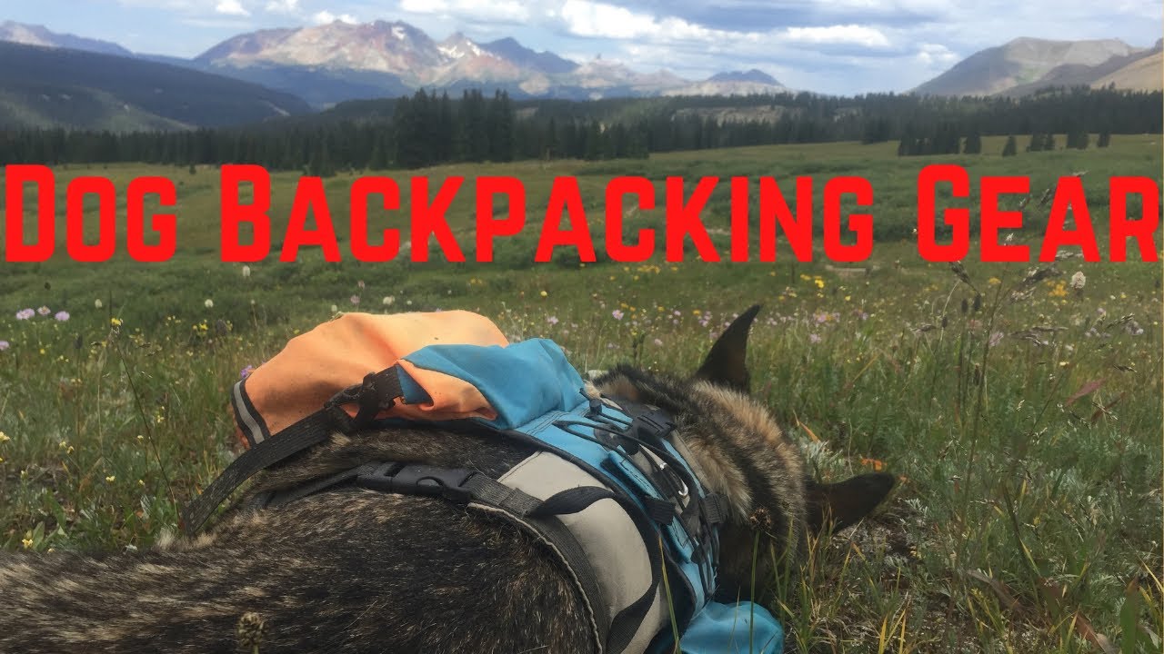Dog Backpacking Gear List 2020 [Weekend Trips and ThruHikes!] YouTube