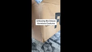 Harry Potter Hermione Costume