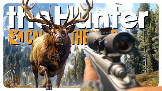 Hunting only the THICCEST animals! (200k celebration vid) | theHunter: Call of the Wild