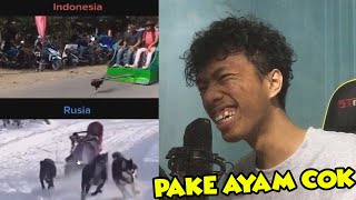NARIK BECAK PAKE AYAM?! WKWK INDONESIA TERBAIK