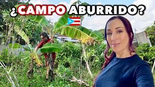 ¿No hay nada que hacer en el campo de Puerto Rico? 👀🇵🇷