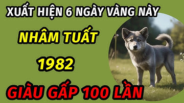 Sự thật bất ngờ cho người tuổi nhâm Tuất 1982 trong 6 ngày vàng tài lộc xoay chiều phất lên như diều