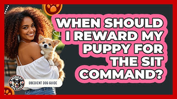 When Should I Reward My Puppy For The Sit Command? - Obedient Dog Guide