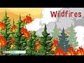 Wildfire Safety and Impact
