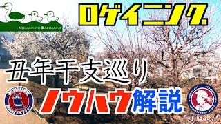 ロゲイニング初心者への解説/5時間男子ソロ/新春丑年干支巡り【ロゲイニング #5】