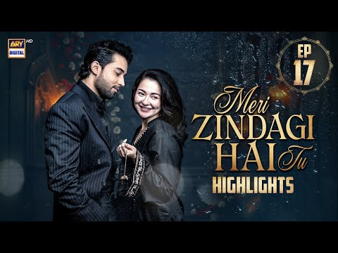 Meri Zindagi Hai Tu — Episode 17