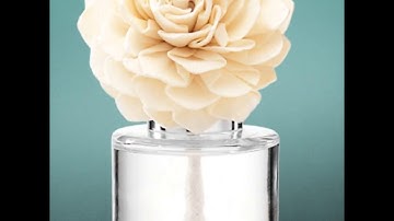 How to set up Your Scentsy Fragrance Flower