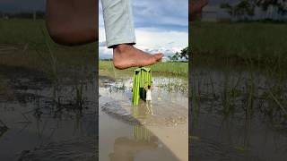 Creative videography #shortvideo #shorts #trending #ideas #photography #magic #video #viralvideo