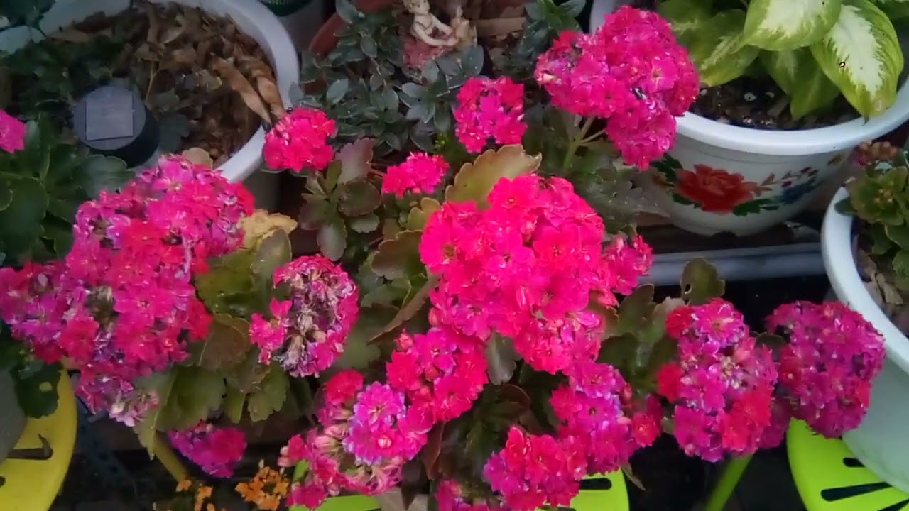 26 de febrero de 2026