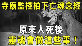 午夜2點台灣一寺廟内，竟拍到亡魂投胎全過程！原來人死後，靈魂竟會經歷這些事！【曉書說】