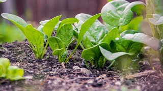 Composting PSA