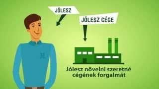 PartnerControl (BISNODE) magyarázó videó