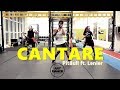 CANTARE - Pitbull ft. Lenier - Zumba® l Choreography l CIa Art Dance