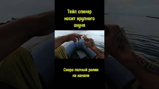 Тейл спинер который ловит🎣🎣👍#тейлспинер #рыбалка #окунь #искитимскийрыбачок #fishing