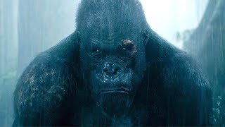 Tarzan Rescues Akut The Legend Of Tarzan 2016 Movie Clip Hd