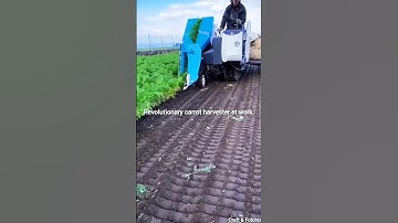Amazing carrot harvesting machine. #ytshorts
