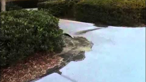 Great Eastern Japan Earthquake - Liquefaction in Makuhari