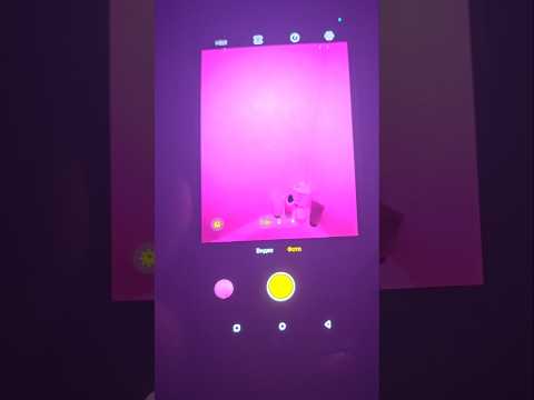 OSCAL PILOT 8 - ИНТЕРЕСНЫЙ ЗАЩИЩЕННИК