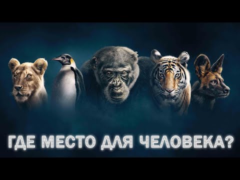 КАКОЕ МЕСТО ЧЕЛОВЕКА В ЖИВОТНОМ МИРЕ НА ЗЕМЛЕ?