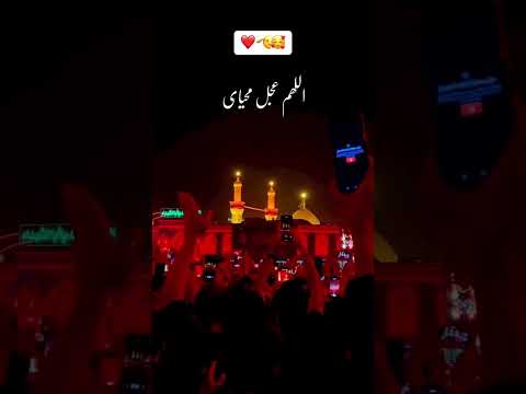 کربلا امام حسین دنیای من آقای من الهم عجل مهیای مهیای