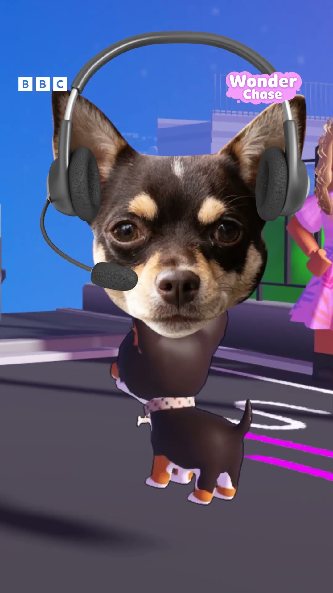Tyson the dog is enjoying the brand new EastEnders update in BBC Wonder Chase ? - BBC