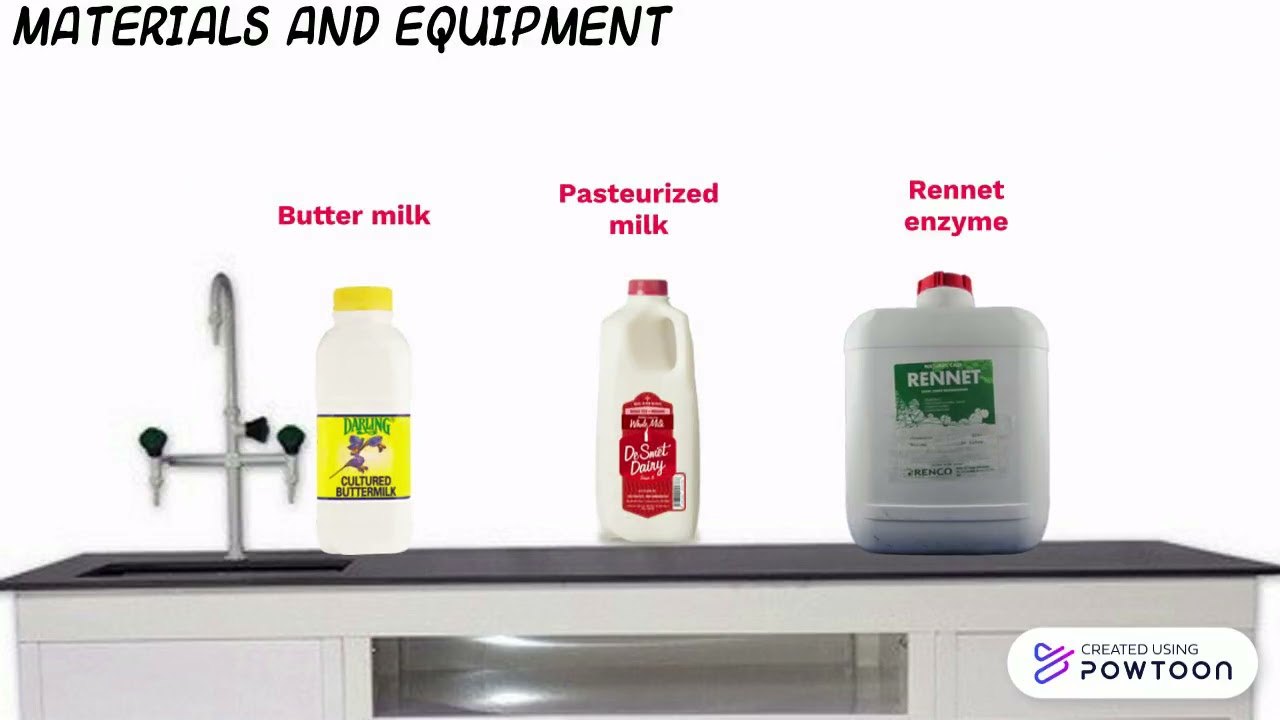 Cheese Making YouTube