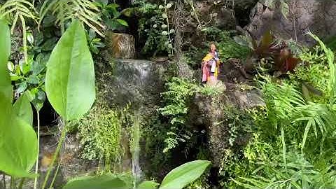 Thích Minh Tuệ - làm thác nước cho hồ cá sân vườn