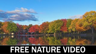 Copyright Free Nature Background Video - Free Stock Footage
