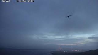 Sumburgh Head 20-05-20