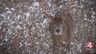 County Executive veto of youth hunting bill overturned Deadbeat Hunting Bill