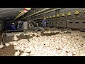 Million Dollar Chicken Farm With Modern Poultry Breeding Technology - Chicken Processing Factory!