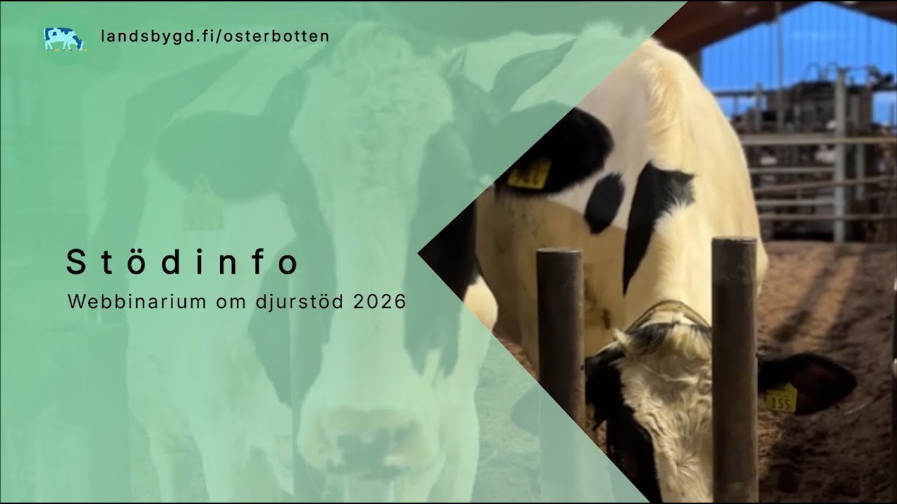 Stödinfo: Webbinarium om djurstöd 15.1.2026